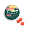 Camino Gummies 100MG - Watermelon Lemonade