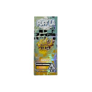 Puff LA Premium Disposables (2g) - Melon Blast