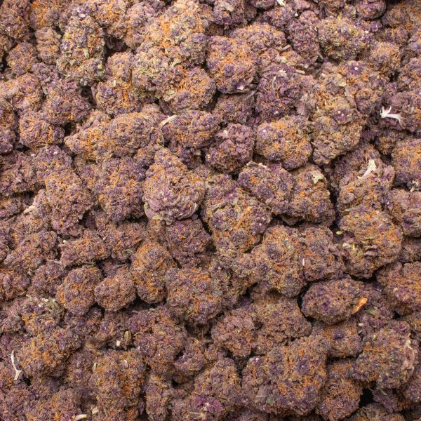 Tropicana Cherry - Image 2