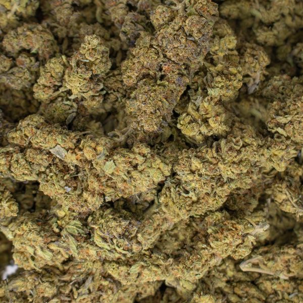 Platinum Bubba - Image 2